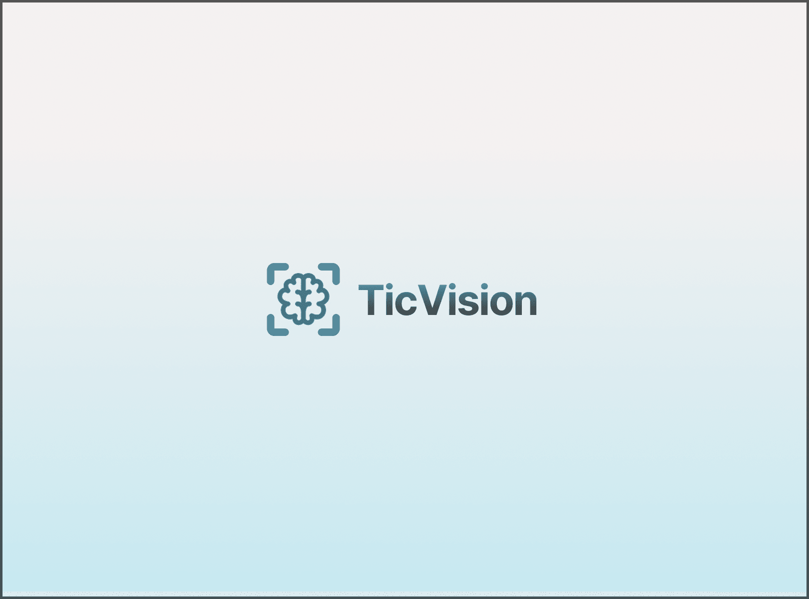 TicVision project preview